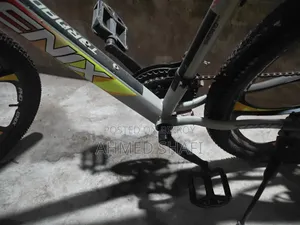 Phoenix Tornado Bicycle