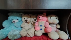 Teddy Bear
