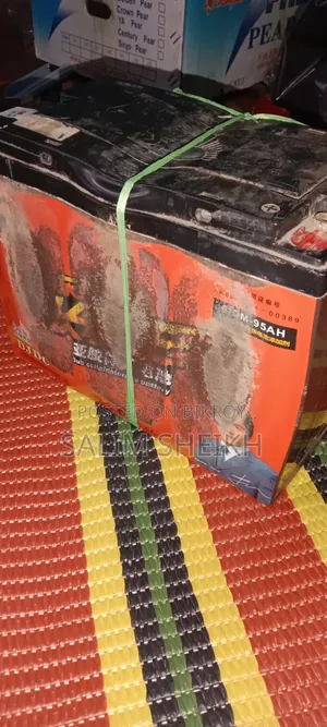 12 Volt 95 Ampere