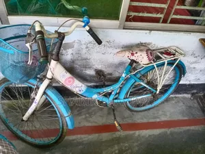 Girls Bicycle for Sell