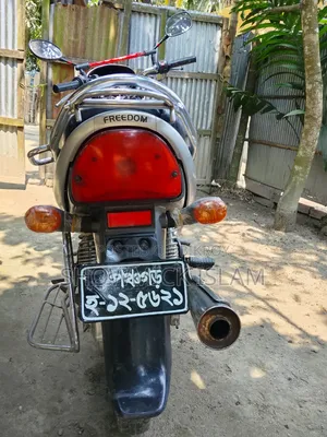 বাজাজ ফ্রিডম ২০১৯ গ্রে
