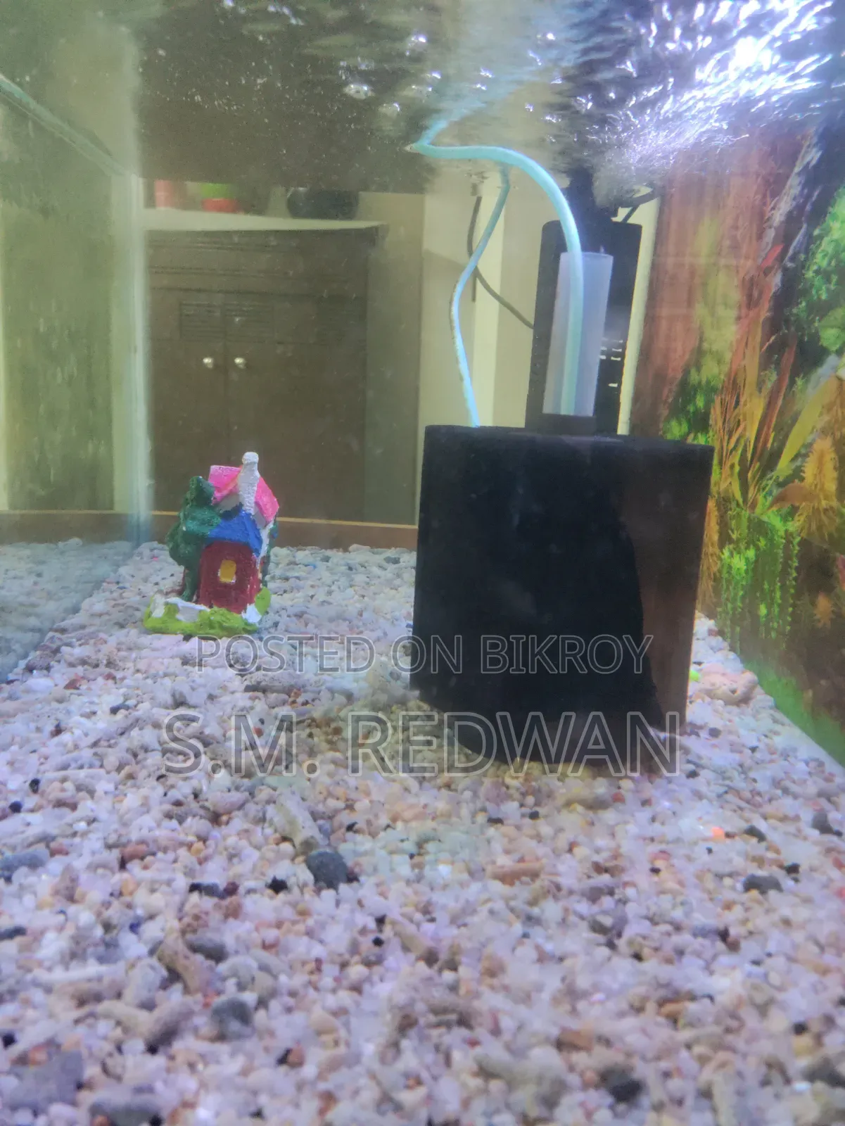 200 Liter Aquarium (2.5/1.5) Feet