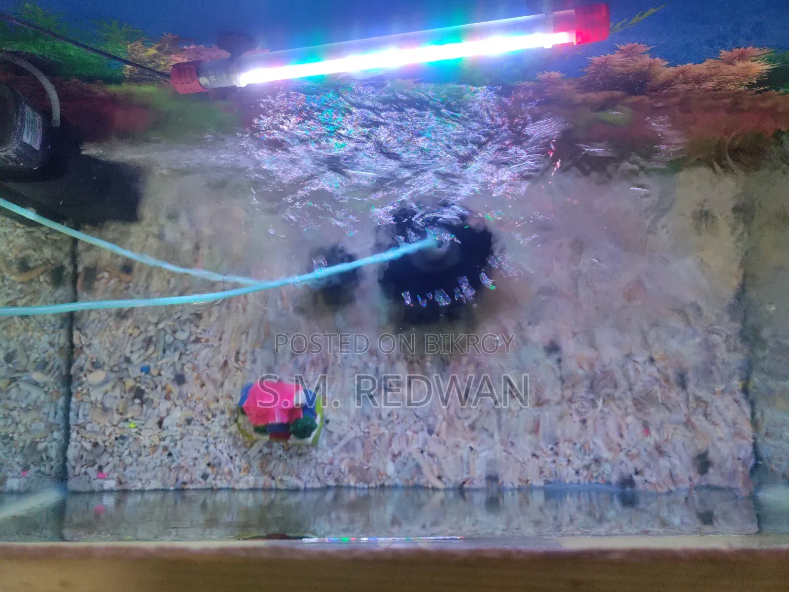 200 Liter Aquarium (2.5/1.5) Feet