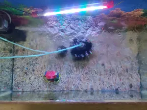200 Liter Aquarium (2.5/1.5) Feet