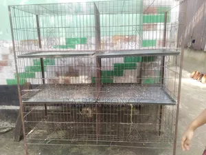 পাখি এবং মুরগি পালনের খাঁচা