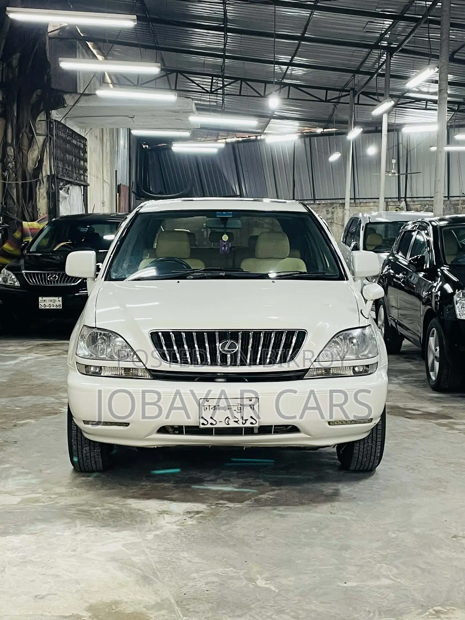 Lexus RX 1999 Pearl