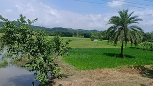 Industrial Land For Sale