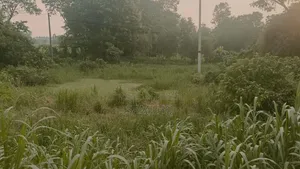 Industrial Land For Sale