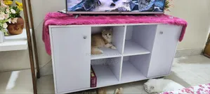 Multi Purpose Cabinet