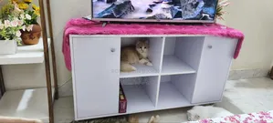 Multi Purpose Cabinet