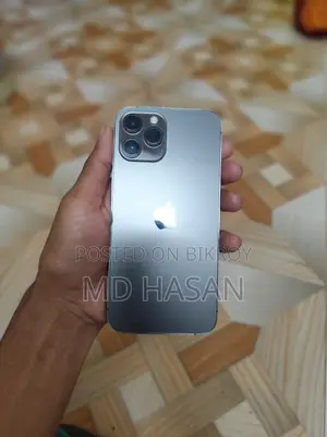 Apple iPhone 12 Pro Max 128 GB গ্রে