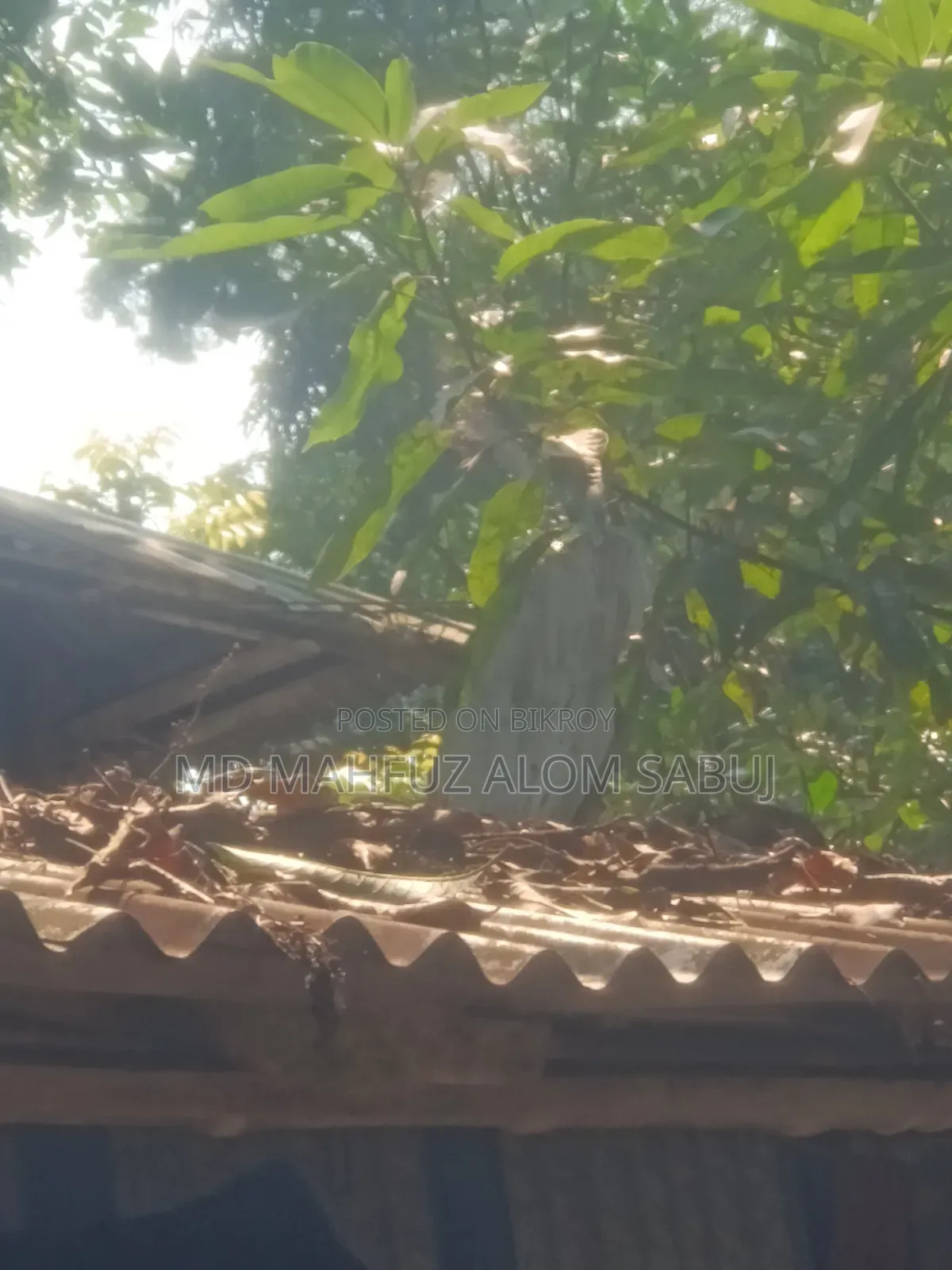 আকাশ খুবই একটা ভালো ডিভাইস