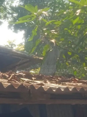 আকাশ খুবই একটা ভালো ডিভাইস