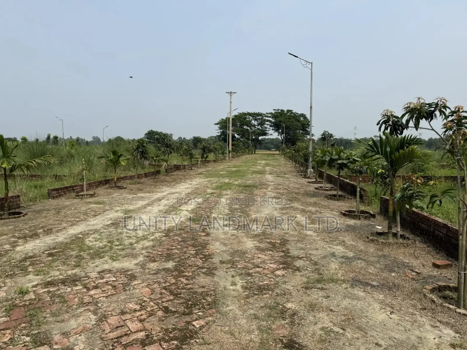 Ready Plots for Sale (10 Katha) | Near 100' Avenue Road & Metro Rail