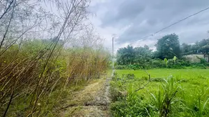 4.75 Katha Residential Land for Sale behind Essential Drugs, Gopalganj