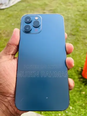 Apple iPhone 12 Pro Max 256 GB Blue