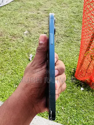 Apple iPhone 12 Pro Max 256 GB Blue