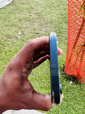 Apple iPhone 12 Pro Max 256 GB Blue