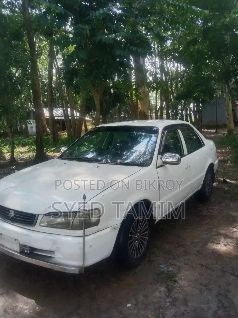 Toyota Corolla Sedan 1998 White