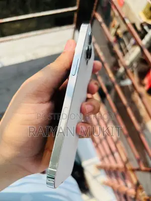 Apple iPhone 12 Pro Max 256 GB Silver