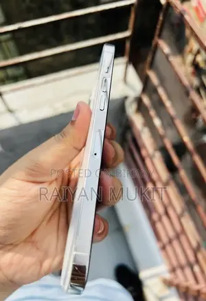 Apple iPhone 12 Pro Max 256 GB Silver