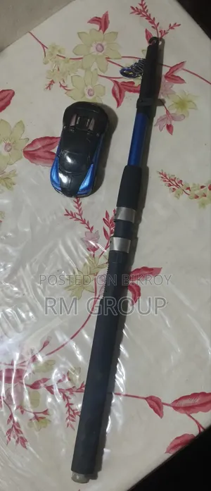 Fishing Rod for Sale at Low Price