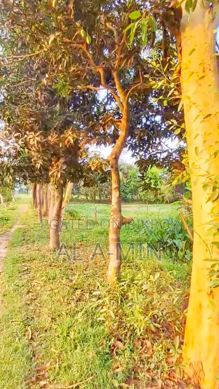 নোয়াখালী প্রযুক্তি বিশ্ববিদ্যালয়ের পাশে ১.২ একর জমি বিক্রয় করা হবে।