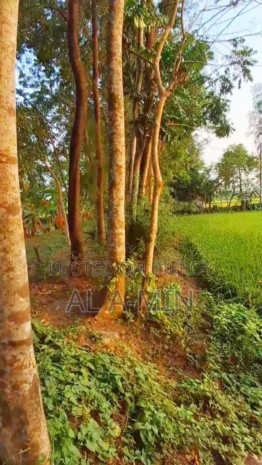 নোয়াখালী প্রযুক্তি বিশ্ববিদ্যালয়ের পাশে ১.২ একর জমি বিক্রয় করা হবে।