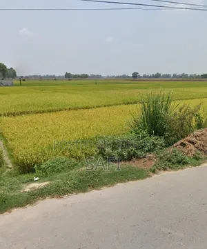 Note: This land is located in Krishnapur Mouza of Bochaganj Upazila (Dinajpur).
