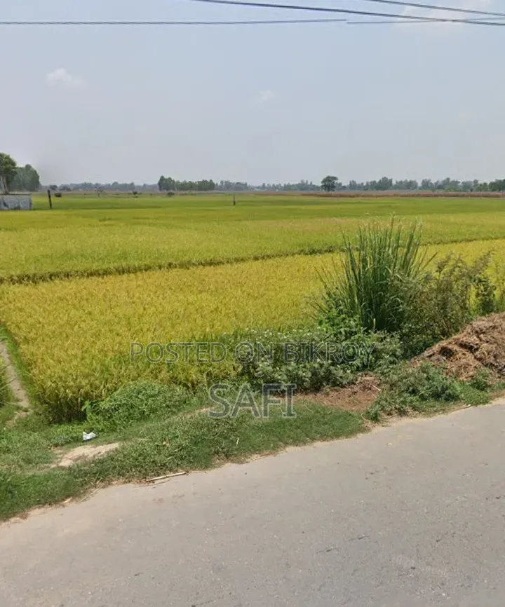 Note: This land is located in Krishnapur Mouza of Bochaganj Upazila (Dinajpur).
