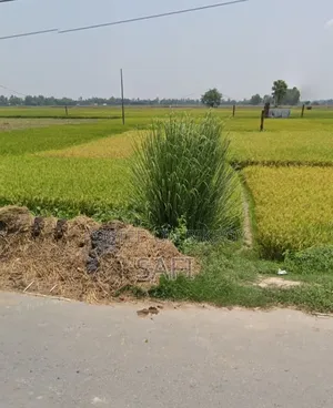 Note: This land is located in Krishnapur Mouza of Bochaganj Upazila (Dinajpur).