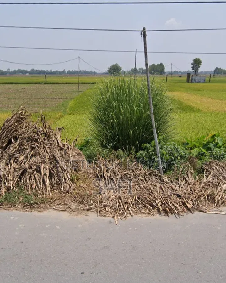 Note: This land is located in Krishnapur Mouza of Bochaganj Upazila (Dinajpur).