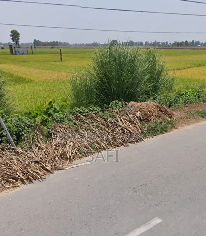Note: This land is located in Krishnapur Mouza of Bochaganj Upazila (Dinajpur).