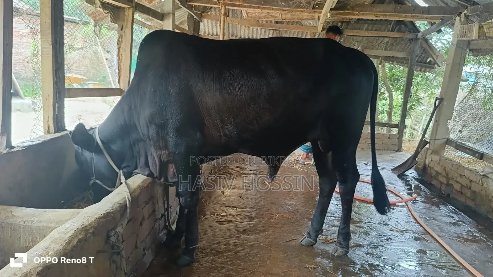 বিসমিল্লাহ এগ্রো,