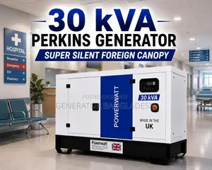 30 Kva Perkins Diesel Generator