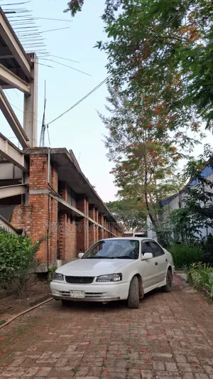 Toyota Corolla 1999 Pearl