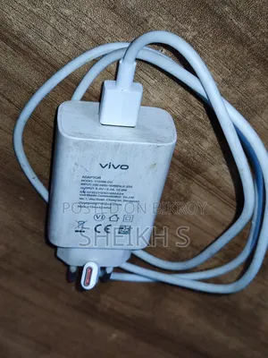 Vivo 10W Original Mobile Charger