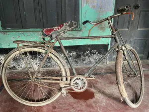 Bicycle (Jhenaidah, Arappur)