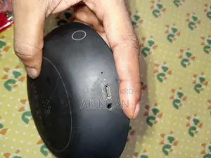 Portable Wireless Speaker