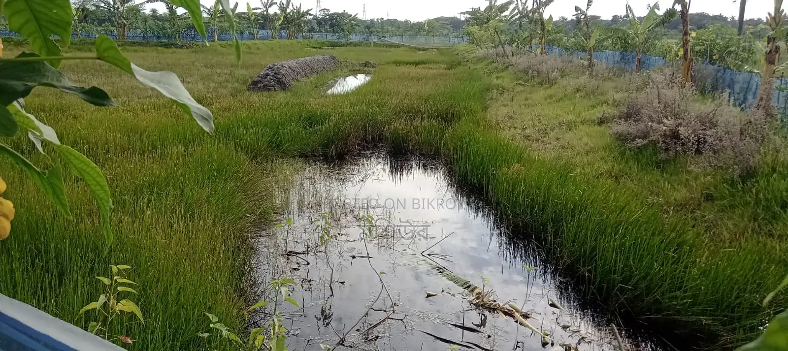Land for sale.