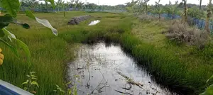 Land for sale.