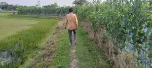 Land for sale.