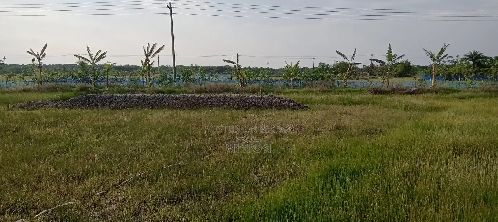 Land for sale.