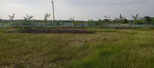Land for sale.