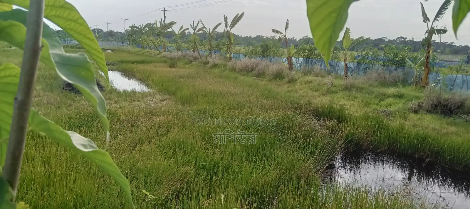 Land for sale.