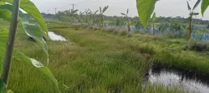 Land for sale.