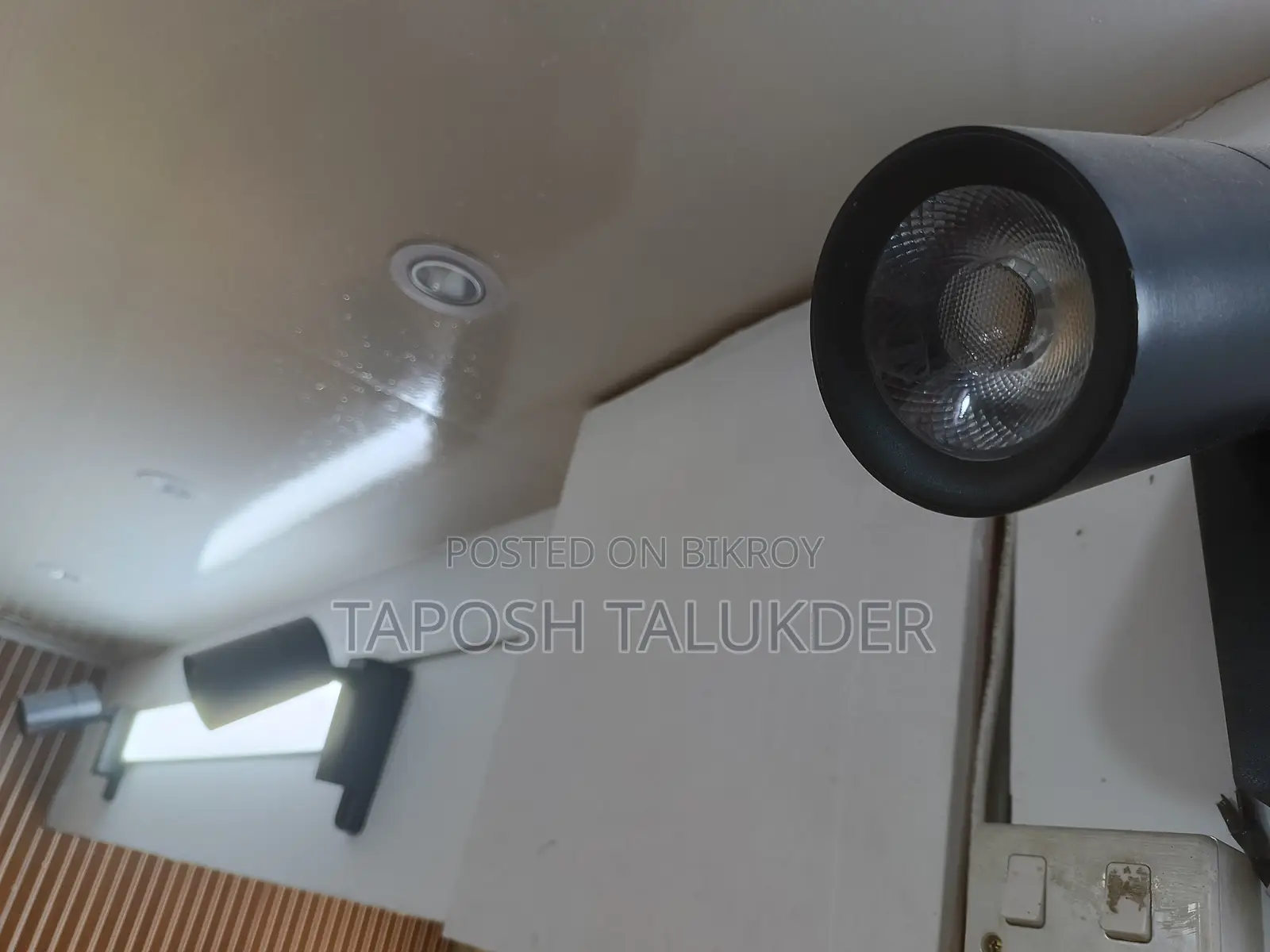 Spot Light (Warm)