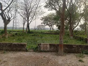২০ কাঠার বিশাল নিষ্কন্টক জমি বিক্রয় | হেমায়েতপুর মেট্রো রেল সংলগ্ন