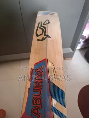 কাশ্মিরি উইলো ক্রিকেট ব্যাট