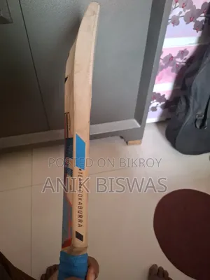 কাশ্মিরি উইলো ক্রিকেট ব্যাট